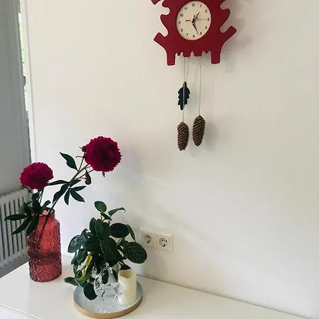 Haus Anna-marie 公寓 费尔德伯格