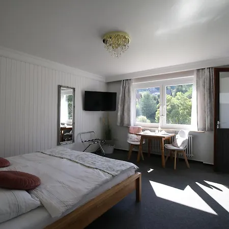 Haus Anna-marie 公寓 *