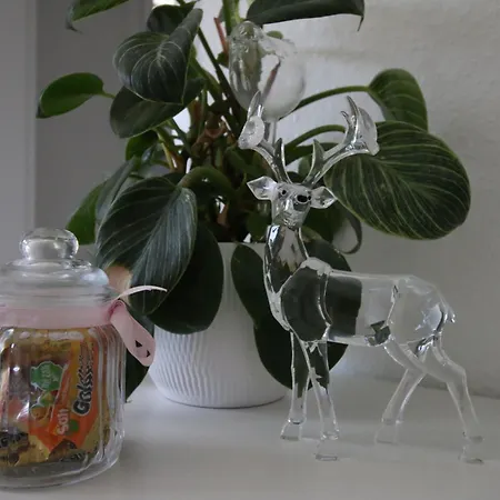 Haus Anna-marie Feldberg (Baden-Wurttemberg)