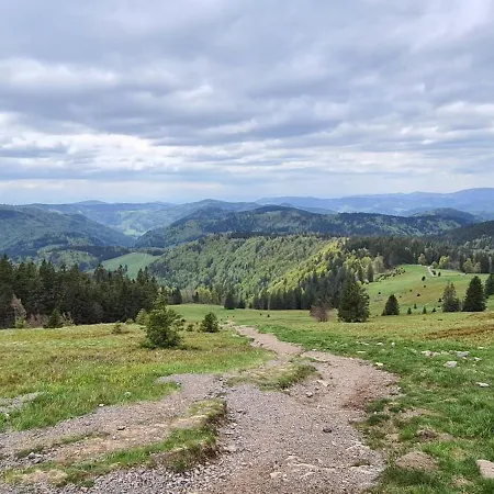 公寓 Haus Anna-marie 费尔德伯格