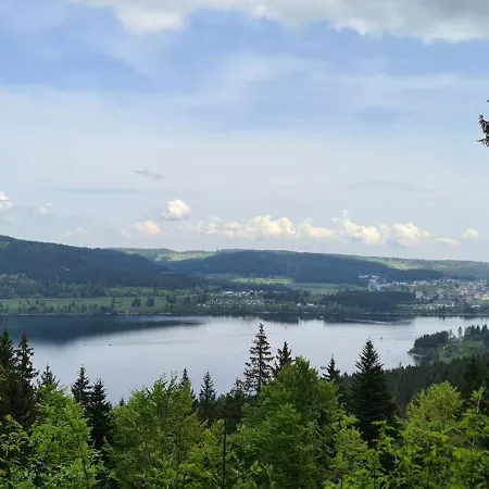 公寓 Haus Anna-marie 费尔德伯格