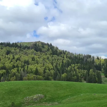 Haus Anna-marie 公寓 *